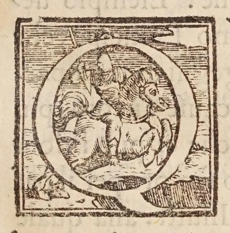 An illustration from Cosimo Bartoli ... Del modo di misvrare le distantie, le superficie, i corpi, le piante, le prouincie, le prospettiue, & tutte le altre cose terrene, che possono occorrere a gli huomini, secondo le uere regole d'Euclide, & de gli altri piu lodati scrittori, 1564, leaf 9
