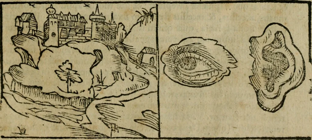 An illustration from Cosmographia Petri Apiani, 1564, leaf 10