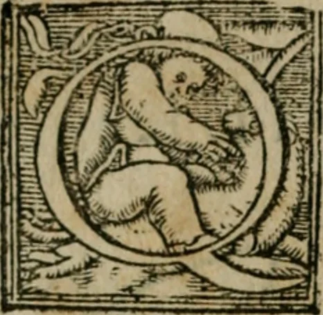 An illustration from Cosmographia Petri Apiani, 1564, leaf 107