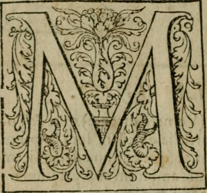 An illustration from Cosmographia Petri Apiani, 1564, leaf 11