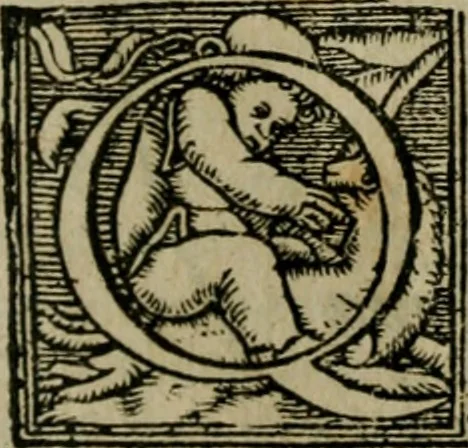 An illustration from Cosmographia Petri Apiani, 1564, leaf 114