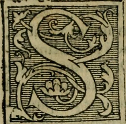 An illustration from Cosmographia Petri Apiani, 1564, leaf 116