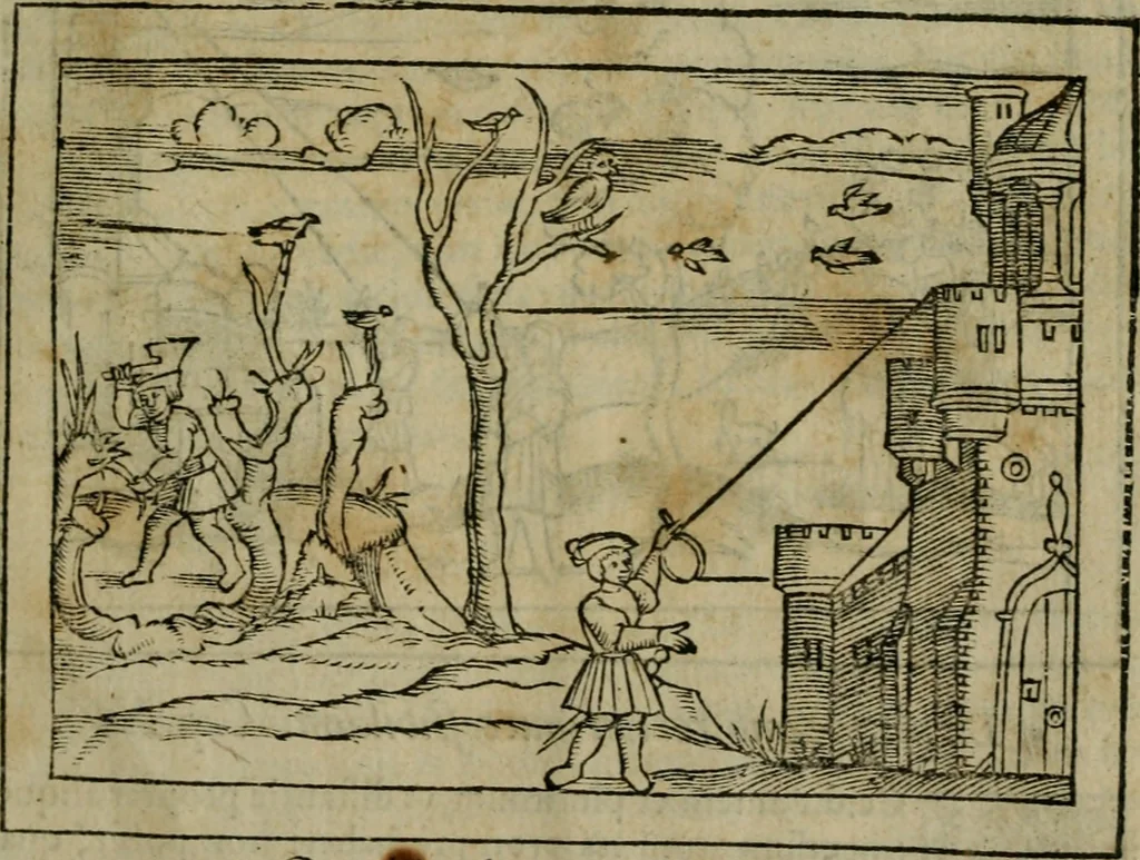 An illustration from Cosmographia Petri Apiani, 1564, leaf 134