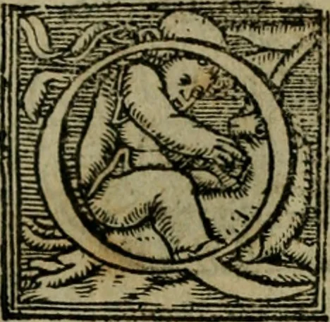 An illustration from Cosmographia Petri Apiani, 1564, leaf 16