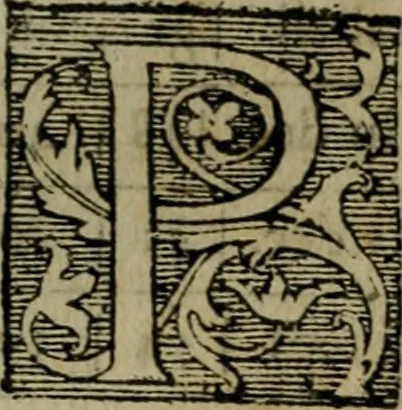 An illustration from Cosmographia Petri Apiani, 1564, leaf 18