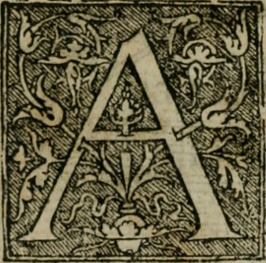 An illustration from Cosmographia Petri Apiani, 1564, leaf 19