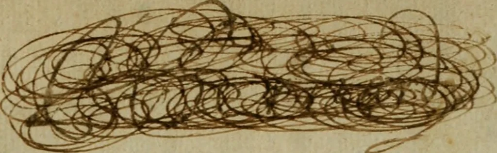 An illustration from Cosmographia Petri Apiani, 1564, leaf 2