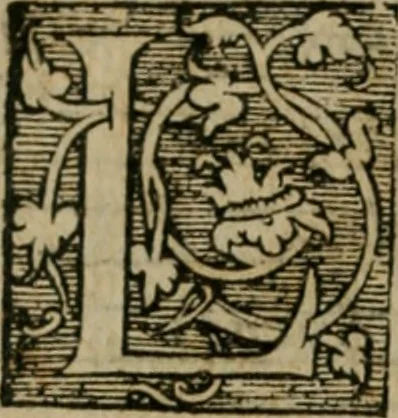 An illustration from Cosmographia Petri Apiani, 1564, leaf 21