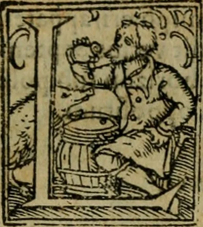 An illustration from Cosmographia Petri Apiani, 1564, leaf 22