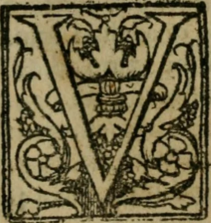 An illustration from Cosmographia Petri Apiani, 1564, leaf 36