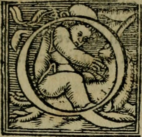 An illustration from Cosmographia Petri Apiani, 1564, leaf 48