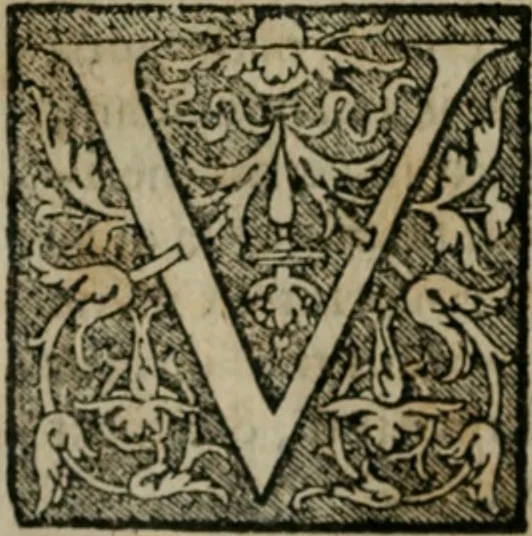 An illustration from Cosmographia Petri Apiani, 1564, leaf 51