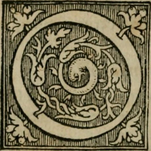 An illustration from Cosmographia Petri Apiani, 1564, leaf 55