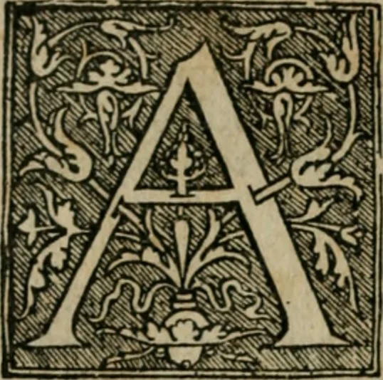 An illustration from Cosmographia Petri Apiani, 1564, leaf 57