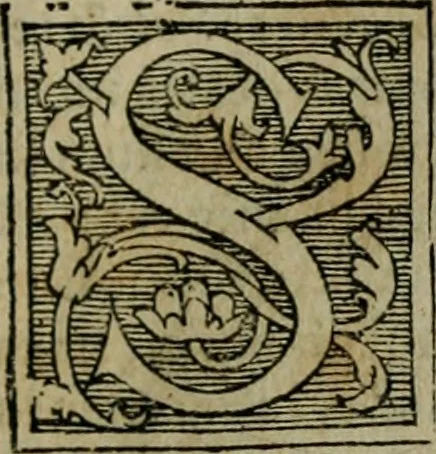 An illustration from Cosmographia Petri Apiani, 1564, leaf 60