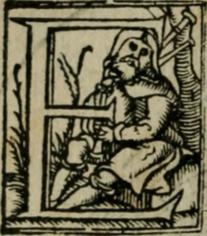 An illustration from Cosmographia Petri Apiani, 1564, leaf 63