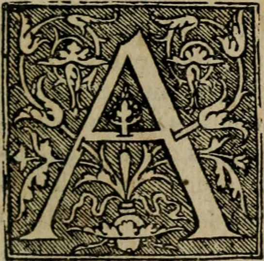 An illustration from Cosmographia Petri Apiani, 1564, leaf 66