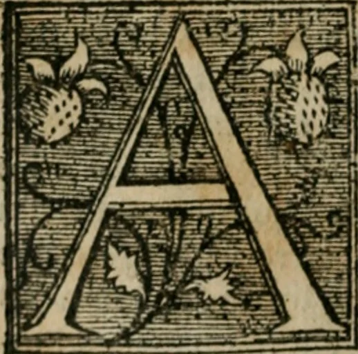An illustration from Cosmographia Petri Apiani, 1564, leaf 67