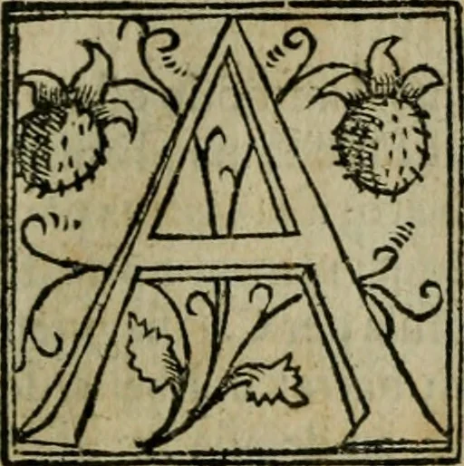 An illustration from Cosmographia Petri Apiani, 1564, leaf 68