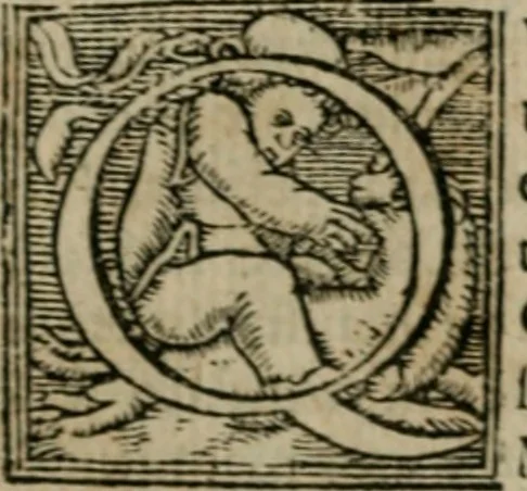An illustration from Cosmographia Petri Apiani, 1564, leaf 69