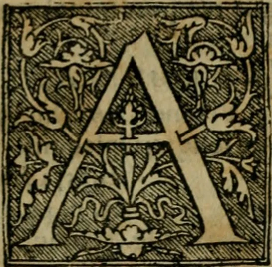 An illustration from Cosmographia Petri Apiani, 1564, leaf 70