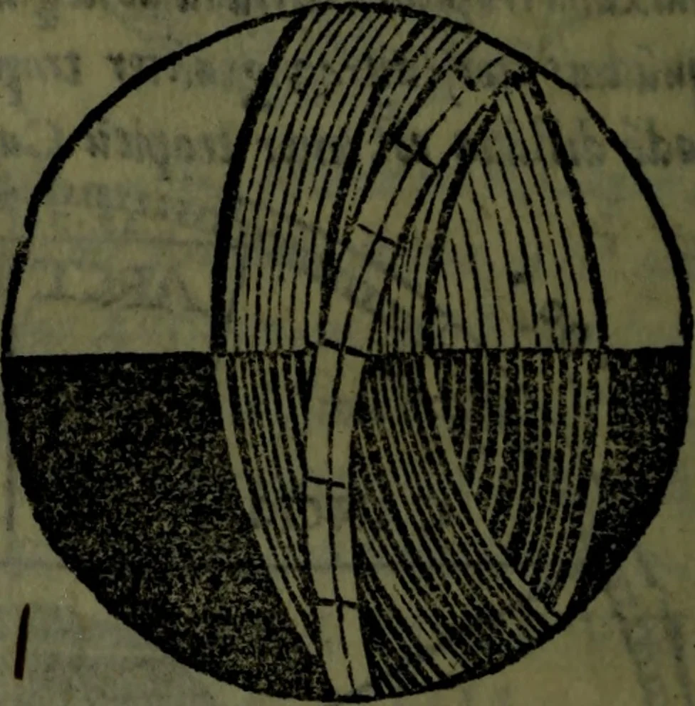 An illustration from Cosmographiae introductio cum quibusdam geometriae ac astronomiae principiis ad eam rem necessariis, 1541, leaf 21