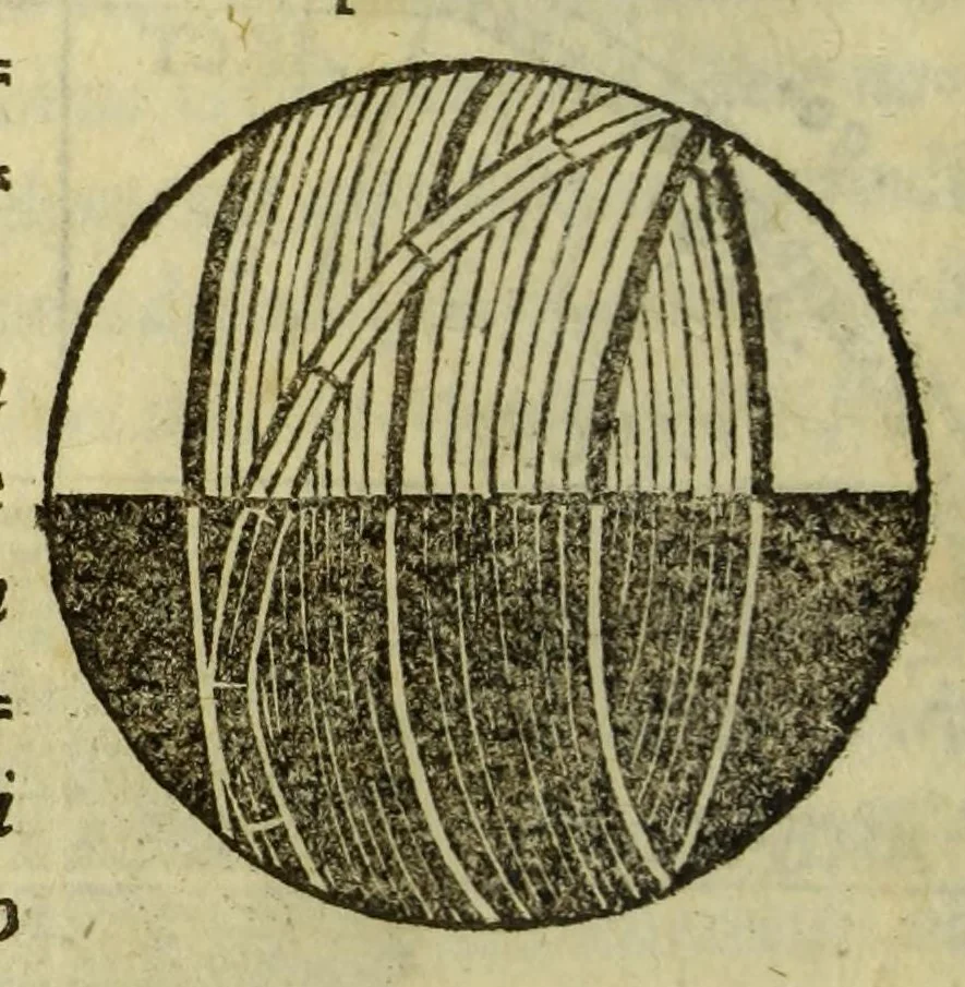 An illustration from Cosmographiae introductio : cum quibusdam gæometriæ [sic] ac astronomiæ principijs ad eam rem necessarijs, 1532, leaf 28