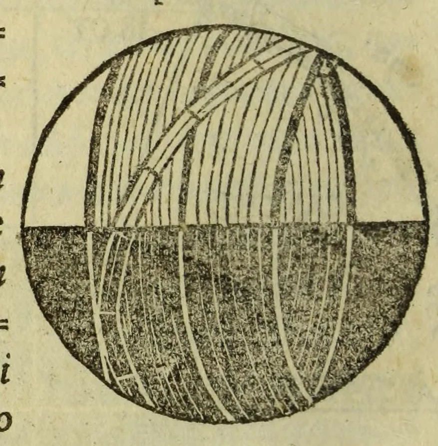 An illustration from Cosmographiae introductio : cum quibusdam gæometriæ [sic] ac astronomiæ principijs ad eam rem necessarijs, 1533, leaf 32