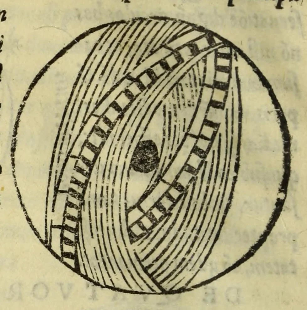 An illustration from Cosmographiae introductio : cum quibusdam geometriæ ac astronomiæ principiis ad eam rem necessariis, 1541, leaf 22