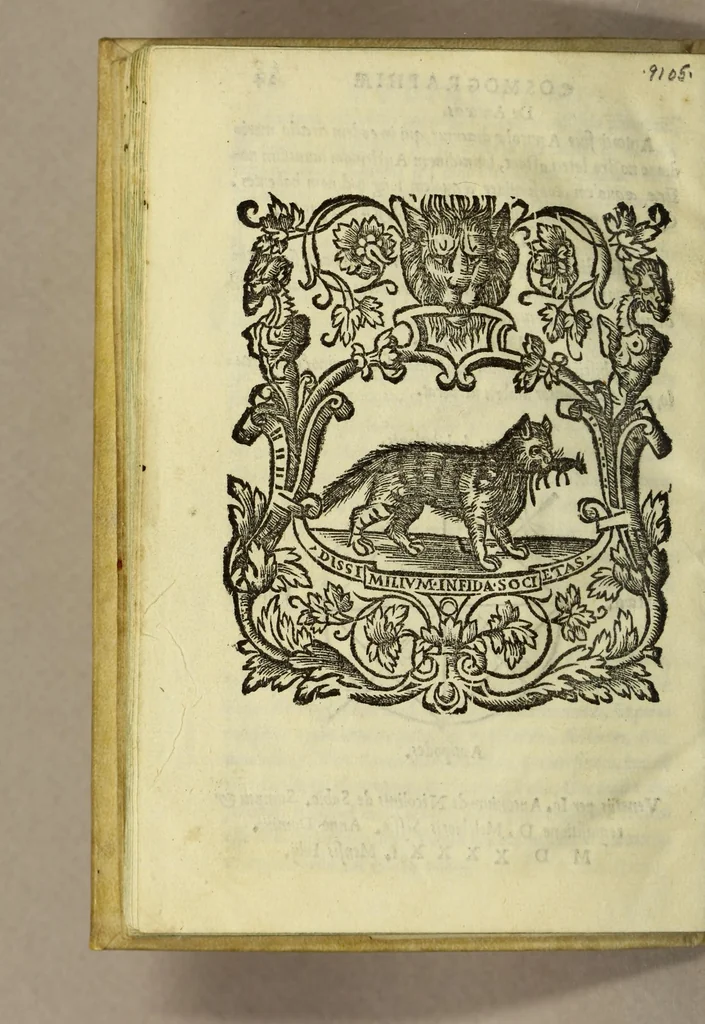 An illustration from Cosmographiae introductio : cum quibusdam geometriæ ac astronomiæ principiis ad eam rem necessariis, 1541, leaf 54