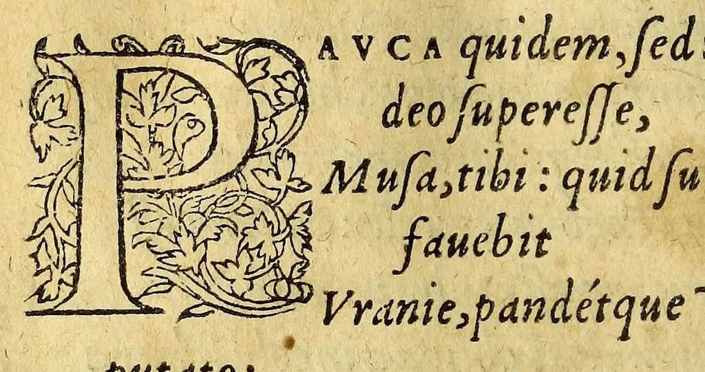 An illustration from Cosmographiae, seu Mundi sphaerae, libri tres, : noua methodo & dilucida conscripti., 1567, leaf 54