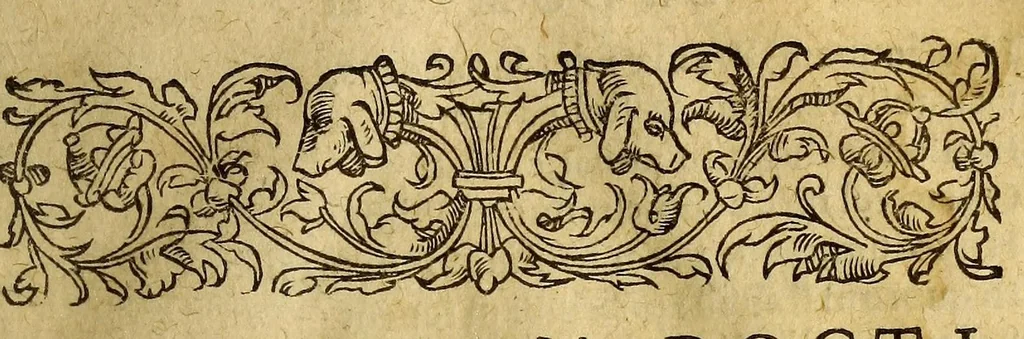 An illustration from Cosmographiae, seu Mundi sphaerae, libri tres, : noua methodo & dilucida conscripti., 1567, leaf 71