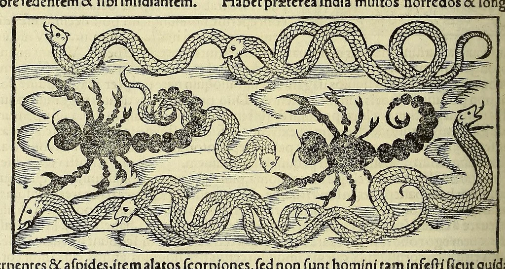 An illustration from Cosmographiae uniuersalis lib. VI. in quibus, iuxta certioris fidei scriptorum traditionem describuntur, omniu[m] habitabilis orbis partiu[m] situs, p[ro]priæq[ue] dotes. regionum topographicæ effigies .., 1550, leaf 1158