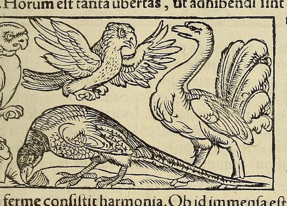 An illustration from Cosmographiae uniuersalis lib. VI. in quibus, iuxta certioris fidei scriptorum traditionem describuntur, omniu[m] habitabilis orbis partiu[m] situs, p[ro]priæq[ue] dotes. regionum topographicæ effigies .., 1550, leaf 1177
