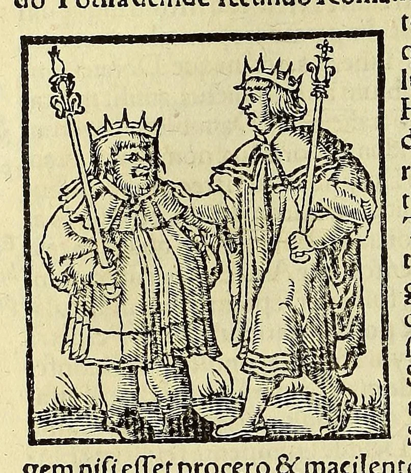 An illustration from Cosmographiae uniuersalis lib. VI. in quibus, iuxta certioris fidei scriptorum traditionem describuntur, omniu[m] habitabilis orbis partiu[m] situs, p[ro]priæq[ue] dotes. regionum topographicæ effigies .., 1550, leaf 350