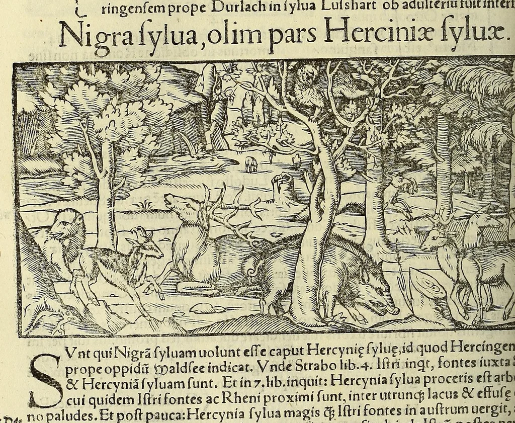 An illustration from Cosmographiae uniuersalis lib. VI. in quibus, iuxta certioris fidei scriptorum traditionem describuntur, omniu[m] habitabilis orbis partiu[m] situs, p[ro]priæq[ue] dotes. regionum topographicæ effigies .., 1550, leaf 678
