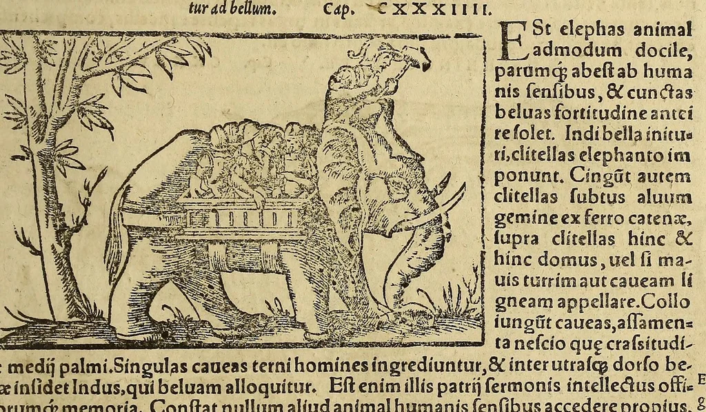 An illustration from Cosmographiae vniuersalis lib. VI. in quibus iuxta certioris fidei scriptores, sine omni cuiuscunq[ue] molestia, uel læsione, describuntur, omnium habitabilis orbis partium situs propriæq[ue] dotes. regionum topographicæ picturæ. ..., 1572, leaf 1533