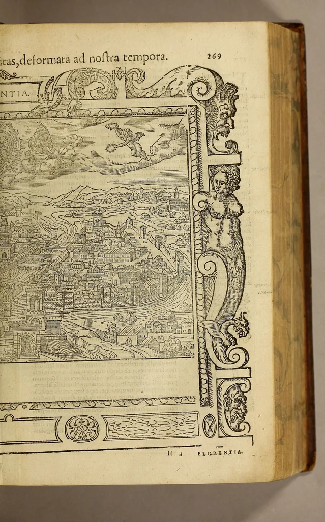 An illustration from Cosmographiae vniuersalis lib. VI. in quibus iuxta certioris fidei scriptores, sine omni cuiuscunq[ue] molestia, uel læsione, describuntur, omnium habitabilis orbis partium situs propriæq[ue] dotes. regionum topographicæ picturæ. ..., 1572, leaf 551