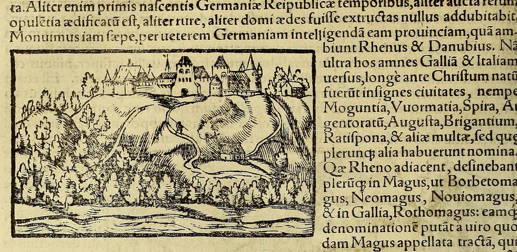 An illustration from Cosmographiae vniuersalis lib. VI. in quibus iuxta certioris fidei scriptores, sine omni cuiuscunq[ue] molestia, uel læsione, describuntur, omnium habitabilis orbis partium situs propriæq[ue] dotes. regionum topographicæ picturæ. ..., 1572, leaf 706