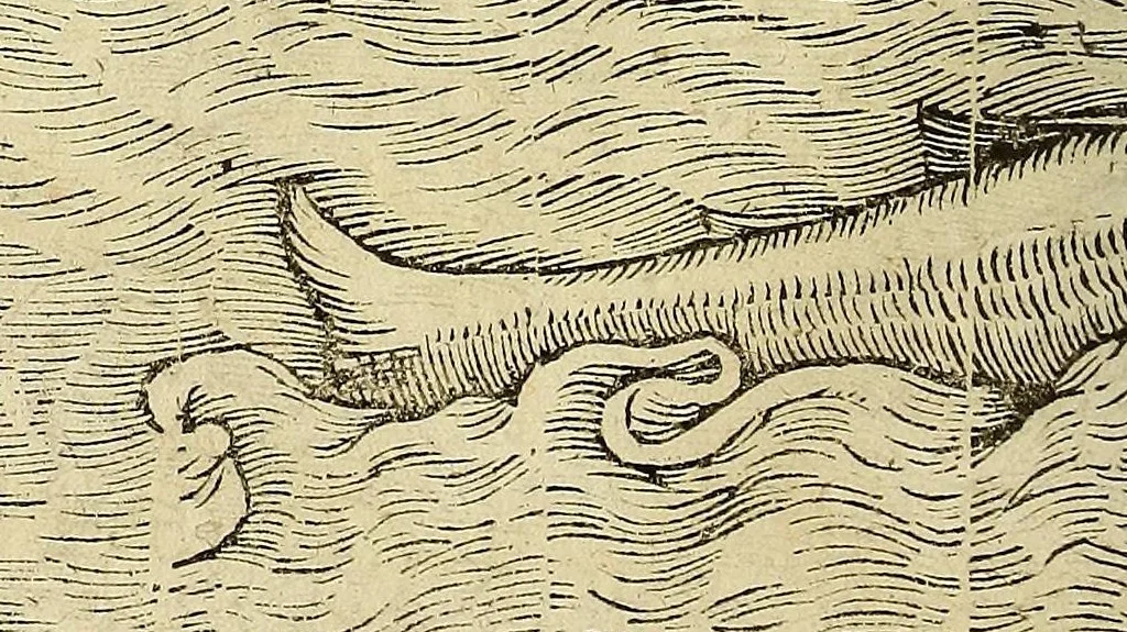 An illustration from Cosmographiae vniuersalis lib. VI. in quibus iuxta certioris fidei scriptores, sine omni cuiuscunq[ue] molestia, uel læsione, describuntur, omnium habitabilis orbis partium situs propriæq[ue] dotes. regionum topographicæ picturæ. ..., 1572, leaf 96