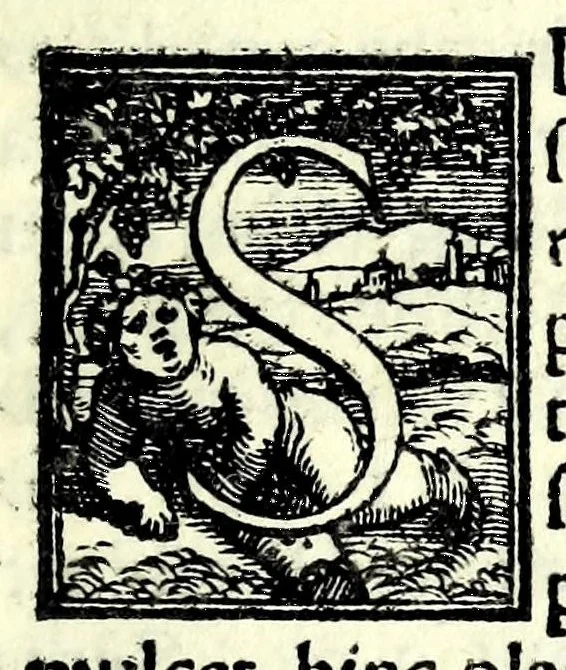 An illustration from Cosmographia Francisci Mavrolyci Messanensis Sicvli : in tres dialogos distincta, in quibus de forma, situ numerʹoq[ue] tam coelorum q[uam] elementorum, alijsq[ue] rebus ad astronomica rudimenta spectantibus satis disseritur, 1543, leaf 13