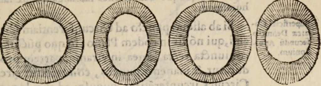 An illustration from Cosmographia in qvatvor libros distribvta summo ordine, miraqve facilitate, ac breuitate ad magnam Ptolemæi mathematicam constructionem, ad vniuersamque astrologiam institutens. Francisco Barocio ... avtore. Cum præfatione eiusdem autoris, in qua perfecta quidem astrologiæ diuisio, & enarratio autorum illustrium, & voluminum ab eis conscriptorum in singulis astrologiæ partibus habetur: Joannis de Sacrobosco verò 84 errores, et alij permulti suorum expositorum, & sectatorum ostenduntur. rationibusq[uam] redarguuntur. Præcesserunt etiam quædam communia mathematica, necnon arithmetica, & geometrica principia, nonnullæq[uam] propositiones, de quibus in toto opere sæpe fit mentio: ac demum locupletissimus index eorum, quæ ipsa Cosmographia continentur .., 1585, leaf 118