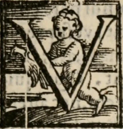 An illustration from Cosmographia in qvatvor libros distribvta summo ordine, miraqve facilitate, ac breuitate ad magnam Ptolemæi mathematicam constructionem, ad vniuersamque astrologiam institutens. Francisco Barocio ... avtore. Cum præfatione eiusdem autoris, in qua perfecta quidem astrologiæ diuisio, & enarratio autorum illustrium, & voluminum ab eis conscriptorum in singulis astrologiæ partibus habetur: Joannis de Sacrobosco verò 84 errores, et alij permulti suorum expositorum, & sectatorum ostenduntur. rationibusq[uam] redarguuntur. Præcesserunt etiam quædam communia mathematica, necnon arithmetica, & geometrica principia, nonnullæq[uam] propositiones, de quibus in toto opere sæpe fit mentio: ac demum locupletissimus index eorum, quæ ipsa Cosmographia continentur .., 1585, leaf 142