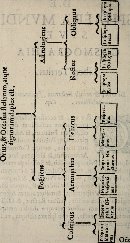 An illustration from Cosmographia in qvatvor libros distribvta summo ordine, miraqve facilitate, ac breuitate ad magnam Ptolemæi mathematicam constructionem, ad vniuersamque astrologiam institutens. Francisco Barocio ... avtore. Cum præfatione eiusdem autoris, in qua perfecta quidem astrologiæ diuisio, & enarratio autorum illustrium, & voluminum ab eis conscriptorum in singulis astrologiæ partibus habetur: Joannis de Sacrobosco verò 84 errores, et alij permulti suorum expositorum, & sectatorum ostenduntur. rationibusq[uam] redarguuntur. Præcesserunt etiam quædam communia mathematica, necnon arithmetica, & geometrica principia, nonnullæq[uam] propositiones, de quibus in toto opere sæpe fit mentio: ac demum locupletissimus index eorum, quæ ipsa Cosmographia continentur .., 1585, leaf 273