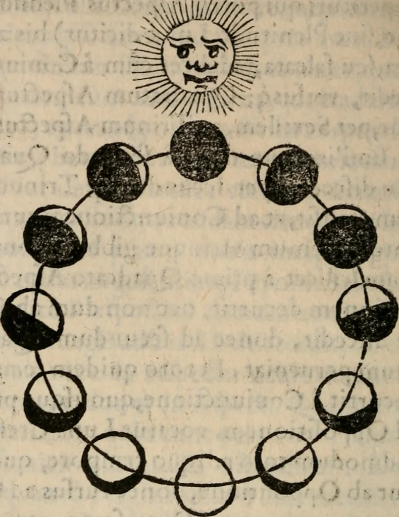 An illustration from Cosmographia in qvatvor libros distribvta summo ordine, miraqve facilitate, ac breuitate ad magnam Ptolemæi mathematicam constructionem, ad vniuersamque astrologiam institutens. Francisco Barocio ... avtore. Cum præfatione eiusdem autoris, in qua perfecta quidem astrologiæ diuisio, & enarratio autorum illustrium, & voluminum ab eis conscriptorum in singulis astrologiæ partibus habetur: Joannis de Sacrobosco verò 84 errores, et alij permulti suorum expositorum, & sectatorum ostenduntur. rationibusq[uam] redarguuntur. Præcesserunt etiam quædam communia mathematica, necnon arithmetica, & geometrica principia, nonnullæq[uam] propositiones, de quibus in toto opere sæpe fit mentio: ac demum locupletissimus index eorum, quæ ipsa Cosmographia continentur .., 1585, leaf 441