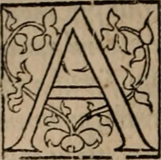 An illustration from Cosmographia Petri Apiani, 1553, leaf 11