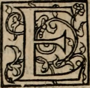 An illustration from Cosmographia Petri Apiani, 1553, leaf 111