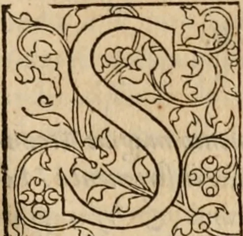 An illustration from Cosmographia Petri Apiani, 1553, leaf 122