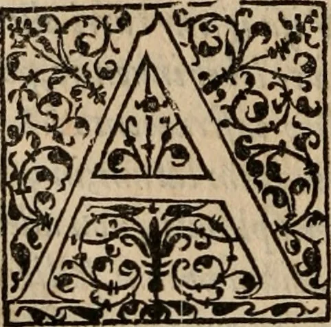 An illustration from Cosmographia Petri Apiani, 1553, leaf 123