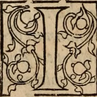 An illustration from Cosmographia Petri Apiani, 1553, leaf 131